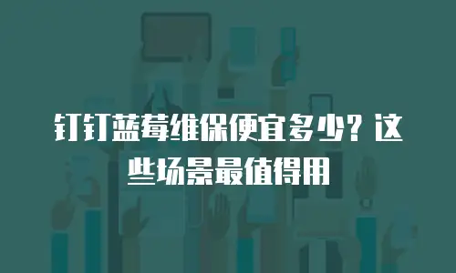钉钉蓝莓维保便宜多少？这些场景最值得用