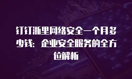 钉钉浙里网络安全一个月多少钱：企业安全服务的全方位解析