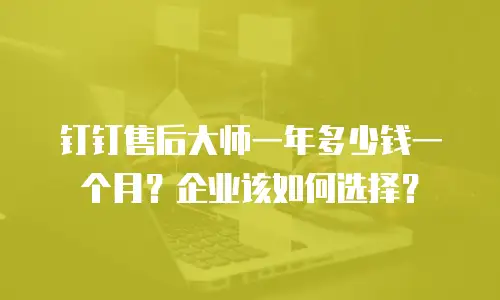 钉钉售后大师一年多少钱一个月？企业该如何选择？