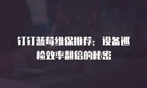 钉钉蓝莓维保推荐：设备巡检效率翻倍的秘密