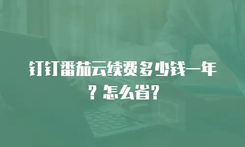 钉钉番茄云续费多少钱一年？怎么省？