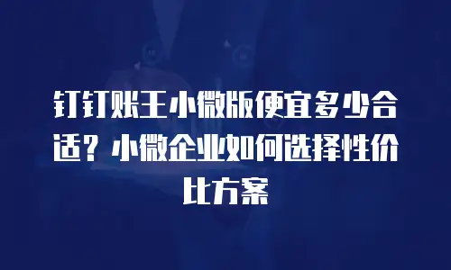 钉钉账王小微版便宜多少合适？小微企业如何选择性价比方案