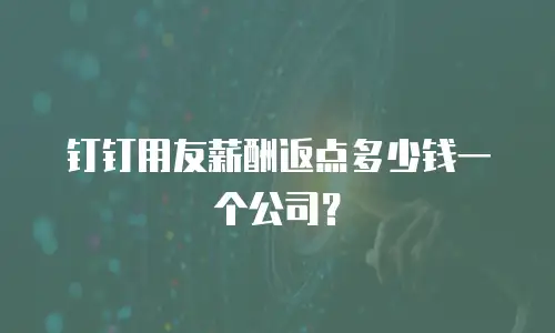 钉钉用友薪酬返点多少钱一个公司？