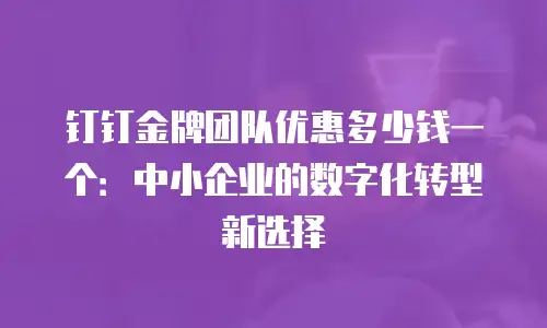 钉钉金牌团队优惠多少钱一个：中小企业的数字化转型新选择