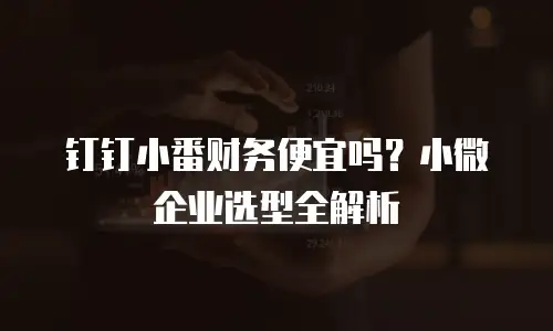 钉钉小番财务便宜吗？小微企业选型全解析