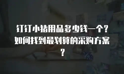 钉钉小猪用品多少钱一个？如何找到最划算的采购方案？