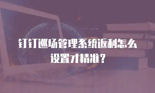 钉钉巡场管理系统返利怎么设置才精准？