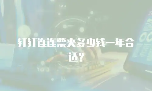 钉钉连连票夹多少钱一年合适？