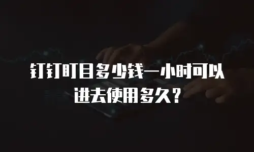 钉钉盯目多少钱一小时可以进去使用多久？