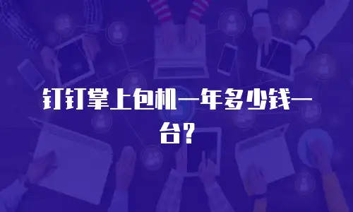 钉钉掌上包机一年多少钱一台？