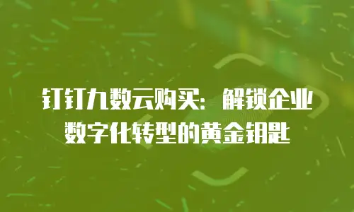 钉钉九数云购买：解锁企业数字化转型的黄金钥匙