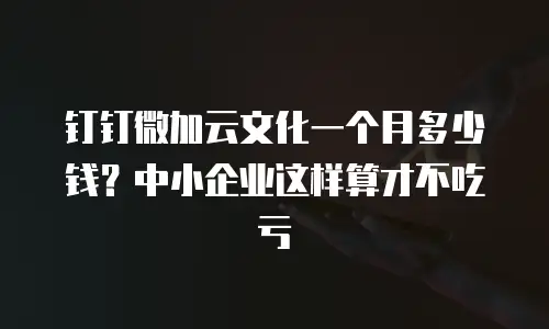 钉钉微加云文化一个月多少钱？中小企业这样算才不吃亏