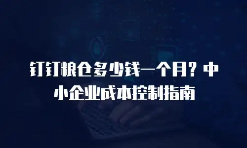 钉钉粮仓多少钱一个月？中小企业成本控制指南