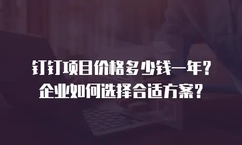 钉钉项目价格多少钱一年？企业如何选择合适方案？