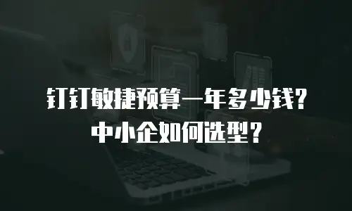 钉钉敏捷预算一年多少钱？中小企如何选型？