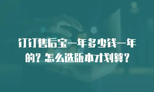 钉钉售后宝一年多少钱一年的？怎么选版本才划算？