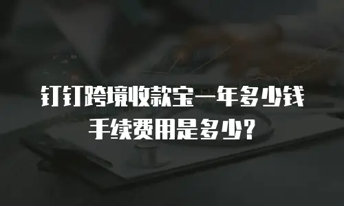 钉钉跨境收款宝一年多少钱手续费用是多少？