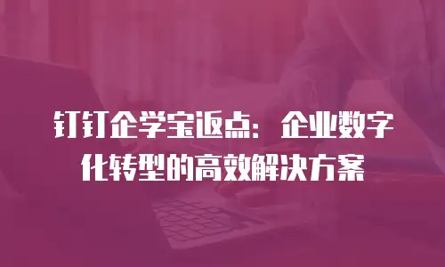 钉钉企学宝返点：企业数字化转型的高效解决方案