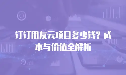 钉钉用友云项目多少钱？成本与价值全解析
