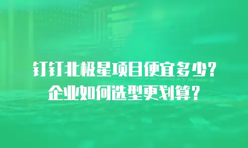 钉钉北极星项目便宜多少？企业如何选型更划算？