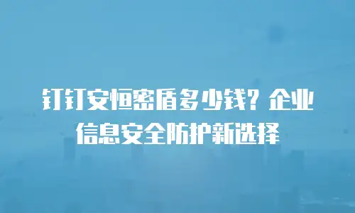 钉钉安恒密盾多少钱？企业信息安全防护新选择