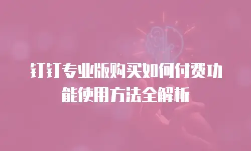 钉钉专业版购买如何付费功能使用方法全解析
