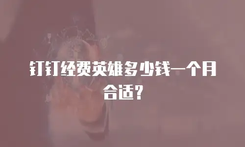 钉钉经费英雄多少钱一个月合适？
