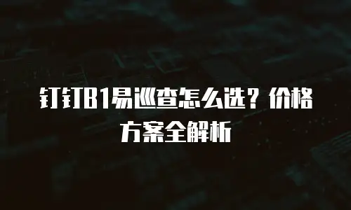 钉钉B1易巡查怎么选？价格方案全解析
