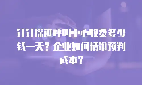 钉钉探迹呼叫中心收费多少钱一天？企业如何精准预判成本？
