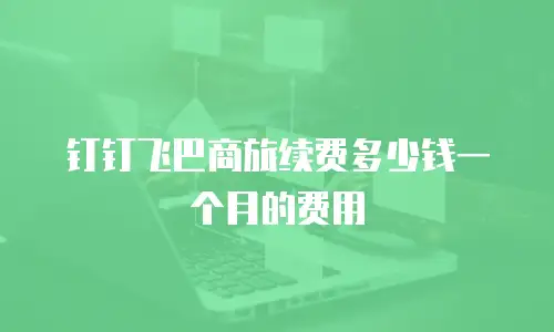 钉钉飞巴商旅续费多少钱一个月的费用