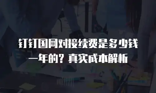 钉钉国网对接续费是多少钱一年的？真实成本解析