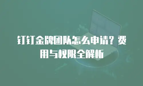 钉钉金牌团队怎么申请？费用与权限全解析