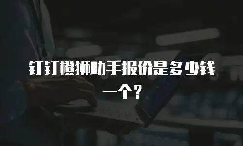钉钉橙狮助手报价是多少钱一个？