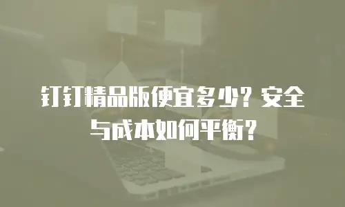 钉钉精品版便宜多少？安全与成本如何平衡？