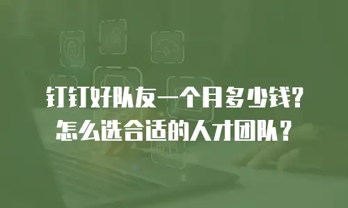 钉钉好队友一个月多少钱？怎么选合适的人才团队？