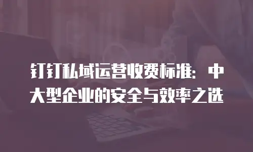 钉钉私域运营收费标准：中大型企业的安全与效率之选