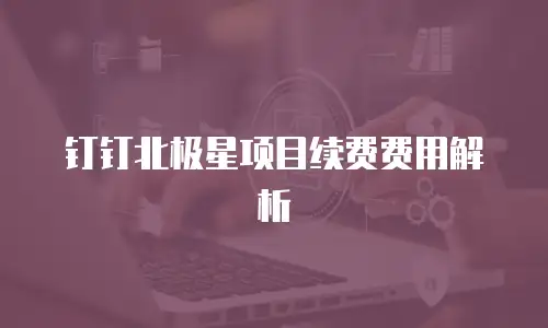钉钉北极星项目续费费用解析