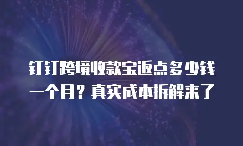 钉钉跨境收款宝返点多少钱一个月？真实成本拆解来了