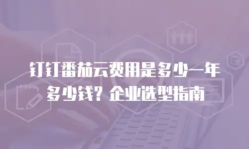 钉钉番茄云费用是多少一年多少钱？企业选型指南