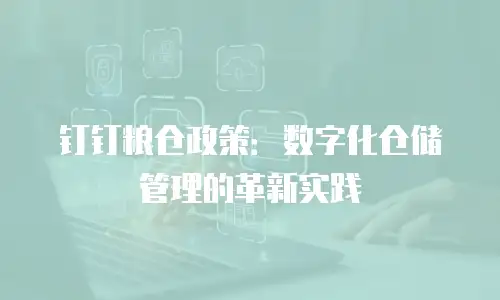 钉钉粮仓政策：数字化仓储管理的革新实践