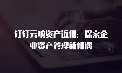 钉钉云呐资产返佣：探索企业资产管理新机遇