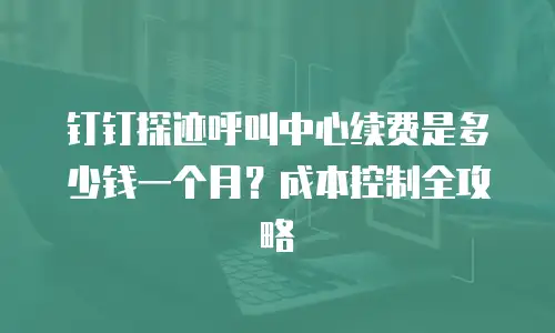 钉钉探迹呼叫中心续费是多少钱一个月？成本控制全攻略