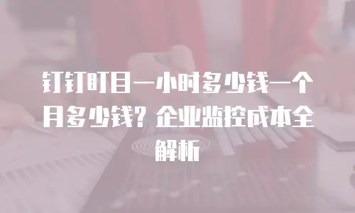 钉钉盯目一小时多少钱一个月多少钱？企业监控成本全解析