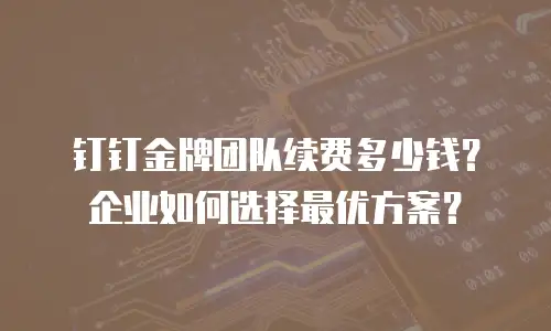 钉钉金牌团队续费多少钱？企业如何选择最优方案？