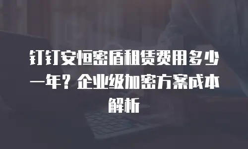 钉钉安恒密盾租赁费用多少一年？企业级加密方案成本解析