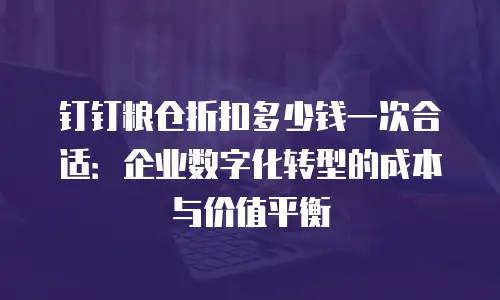 钉钉粮仓折扣多少钱一次合适：企业数字化转型的成本与价值平衡