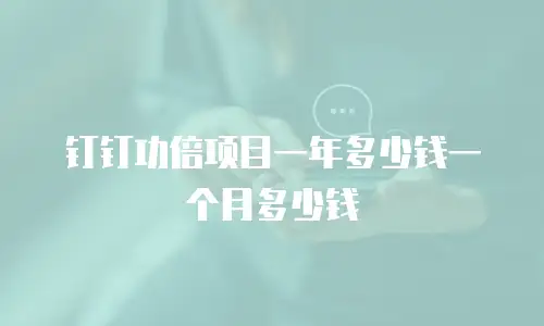 钉钉功倍项目一年多少钱一个月多少钱