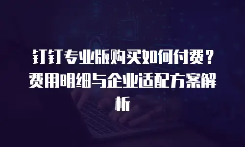 钉钉专业版购买如何付费？费用明细与企业适配方案解析