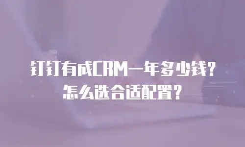 钉钉有成CRM一年多少钱？怎么选合适配置？