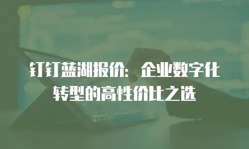 钉钉蓝湖报价：企业数字化转型的高性价比之选